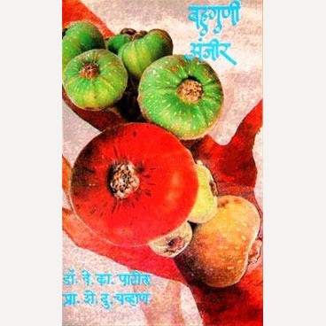 Bahuguni Anjeer By V. K. Patil (बहुगुणी अंजीर)