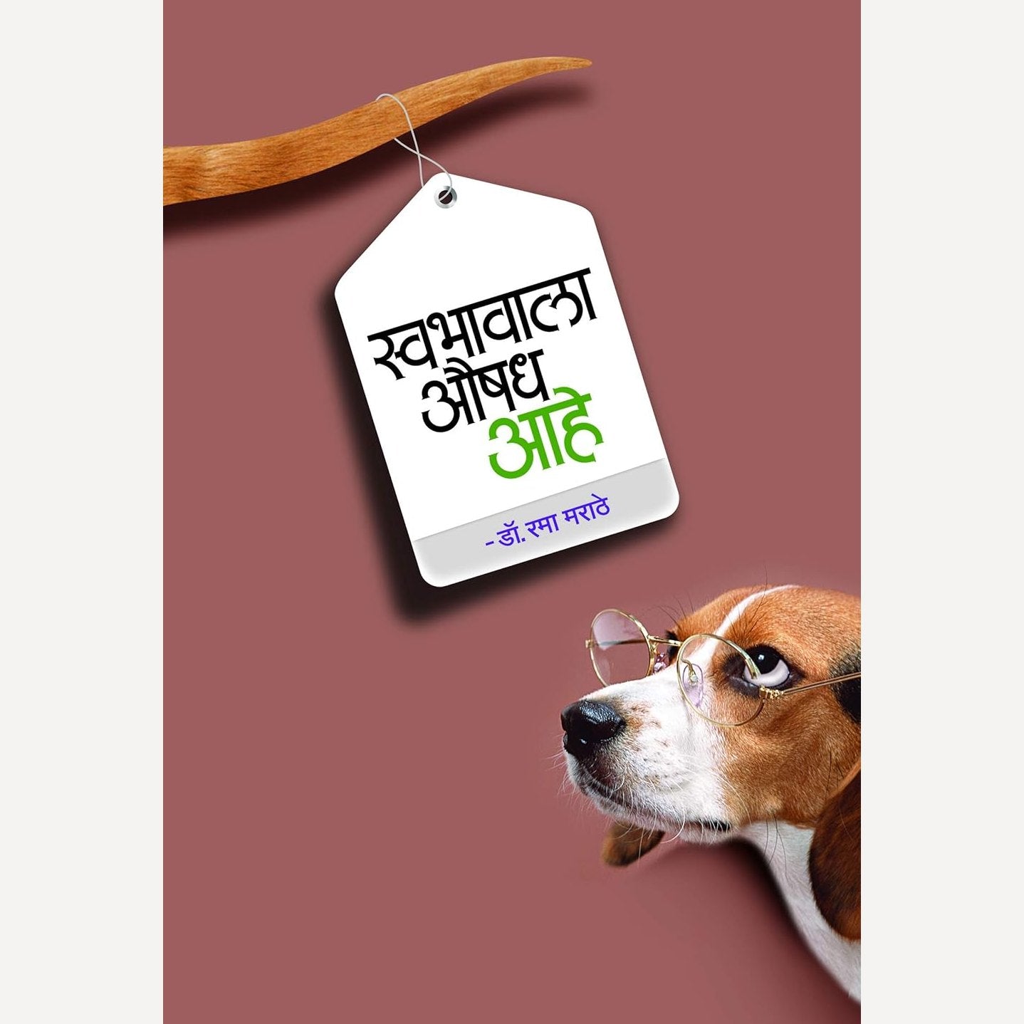 Swabhavala Aushadh Ahe By Rama Marathe ( स्वभावाला औषध आहे)