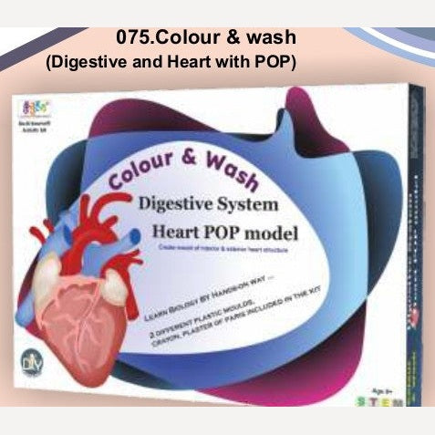 Colour & wash (Digestive and Heart with POP) By Kutuhal