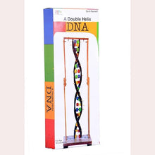 Double Helix DNA By Kutuhal