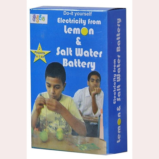 Lemon And Salt Water Battery By Kutuhal