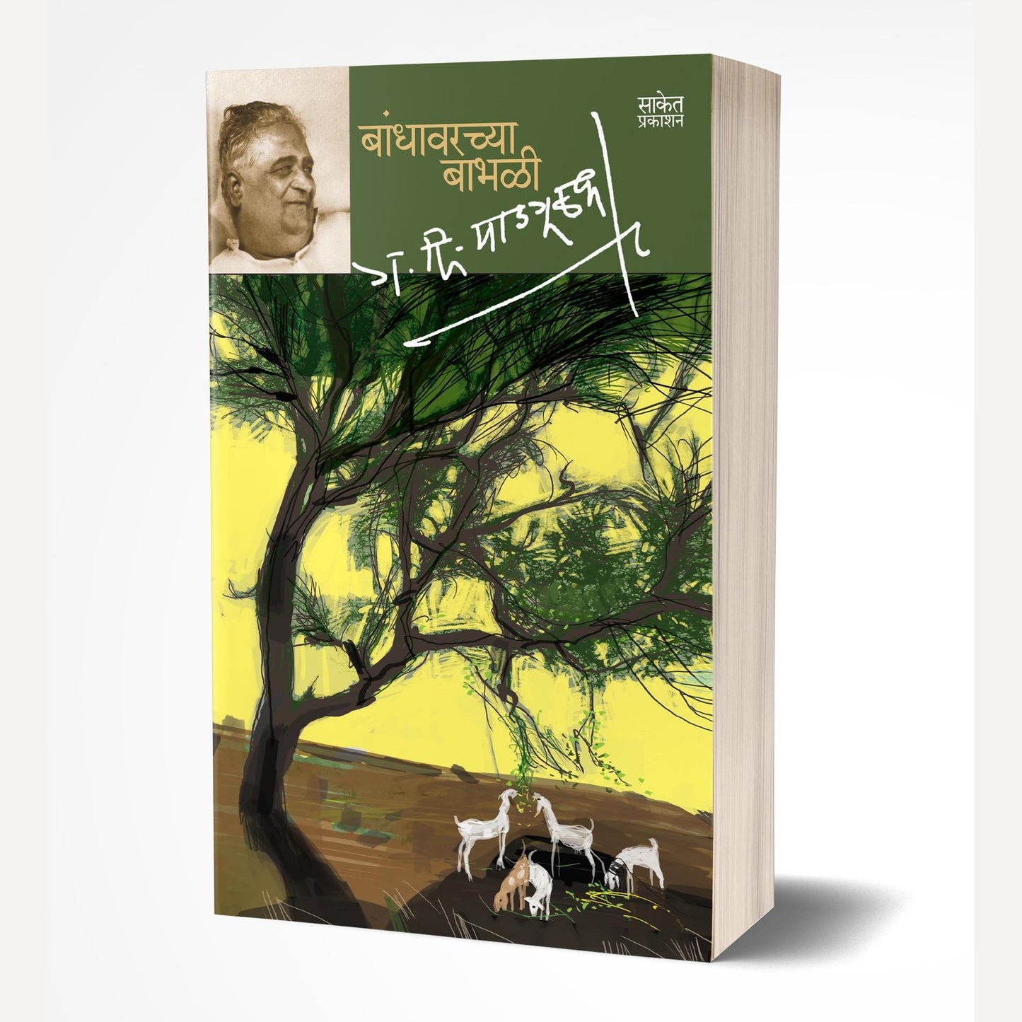 G. D. Madgulkar Best seller books ( 3 Books combo set)