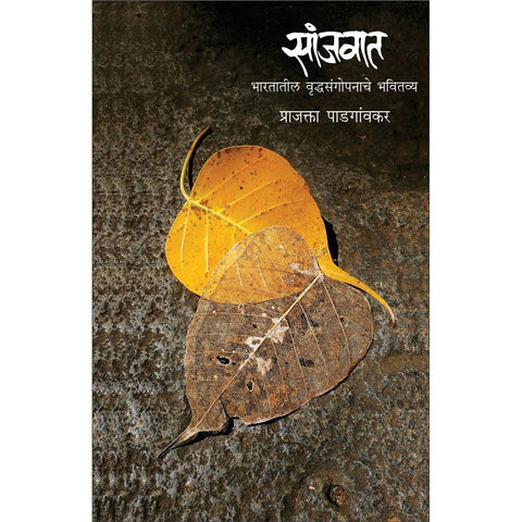 Sanjavat By Prajakta Padgaonkar